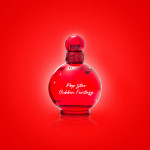 POP STAR HIDDEN FANTASY