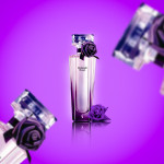 MIDNIGHT ROSES